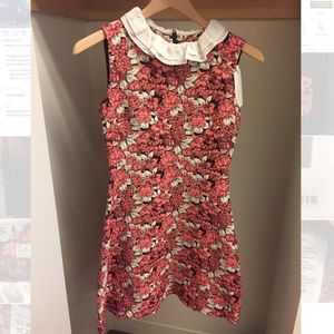 Sandro floral dress w/ silk collar (size 2 = MED)